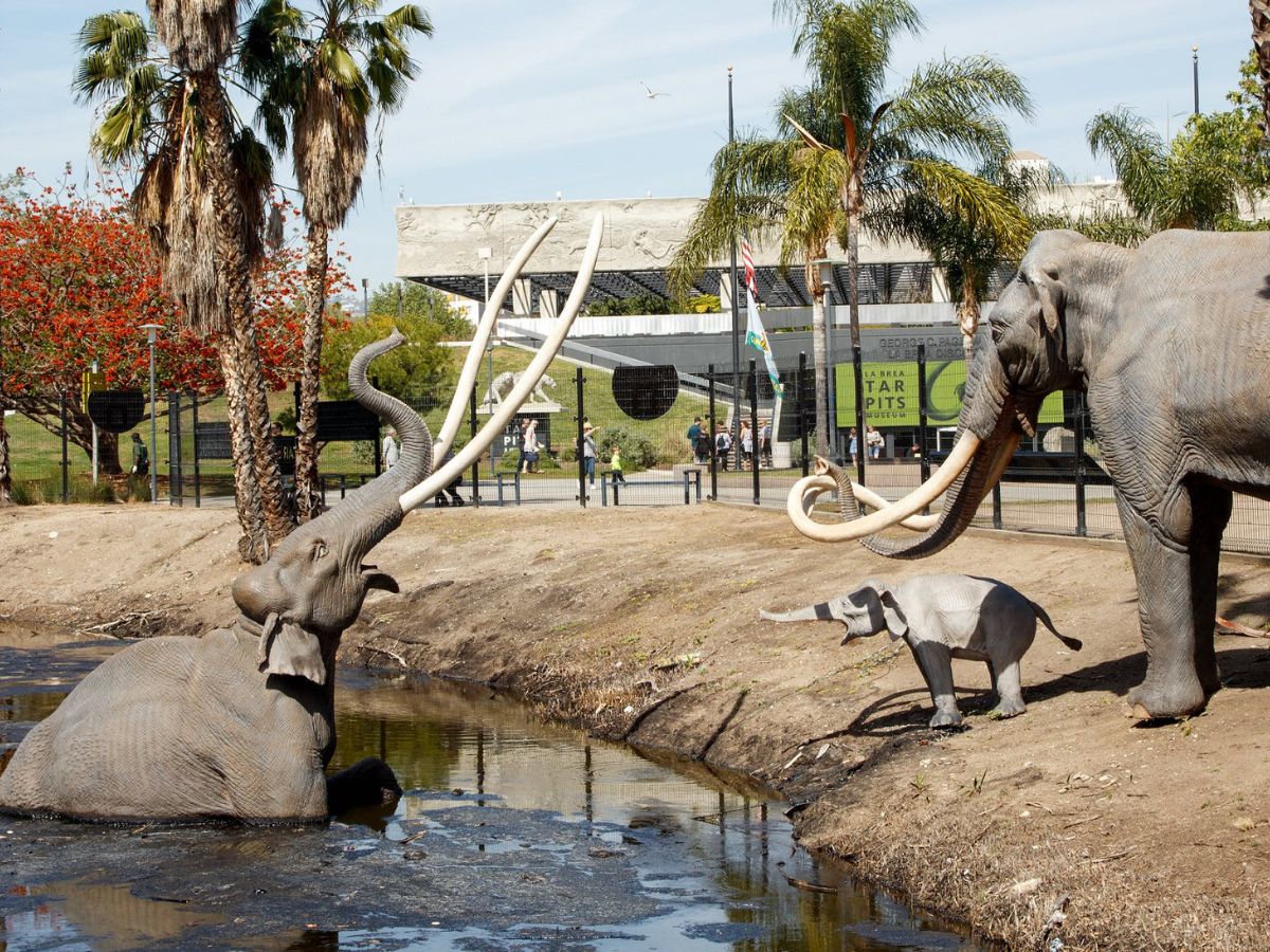 O que é La Brea? Saiba o significado do nome da nova série da Globo